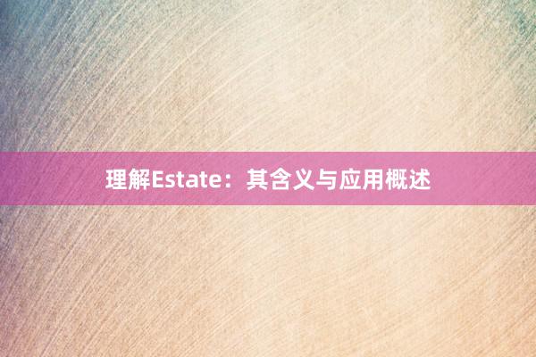 理解Estate：其含义与应用概述